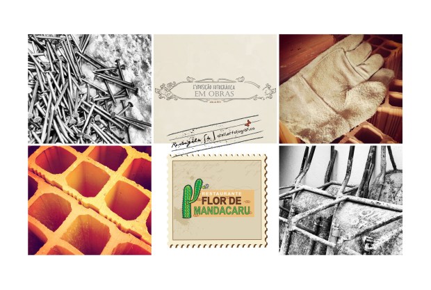 Introdução - Flor de Mandacaru