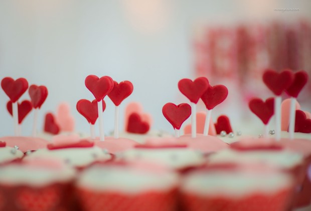 Rosângela Sá | Atelier Fotográfico 2015